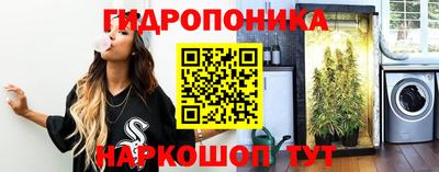 прущие крисы Северобайкальск