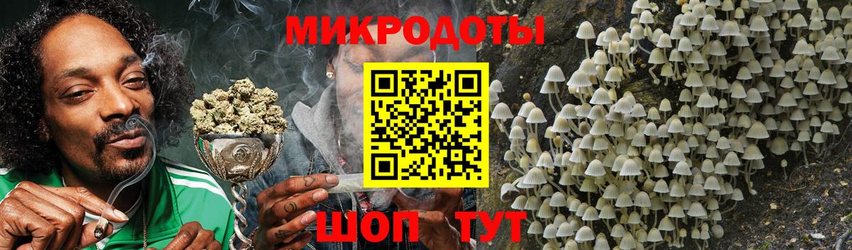 Псилоцибиновые грибы Psilocybe Георгиевск